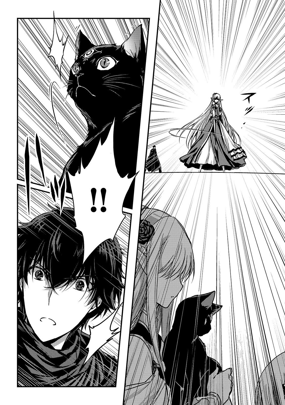 Assassin de Aru Ore no Sutetasu ga Yuusha Yori mo Akiraka ni Tsuyoi Nodaga Chapter 16.2 11